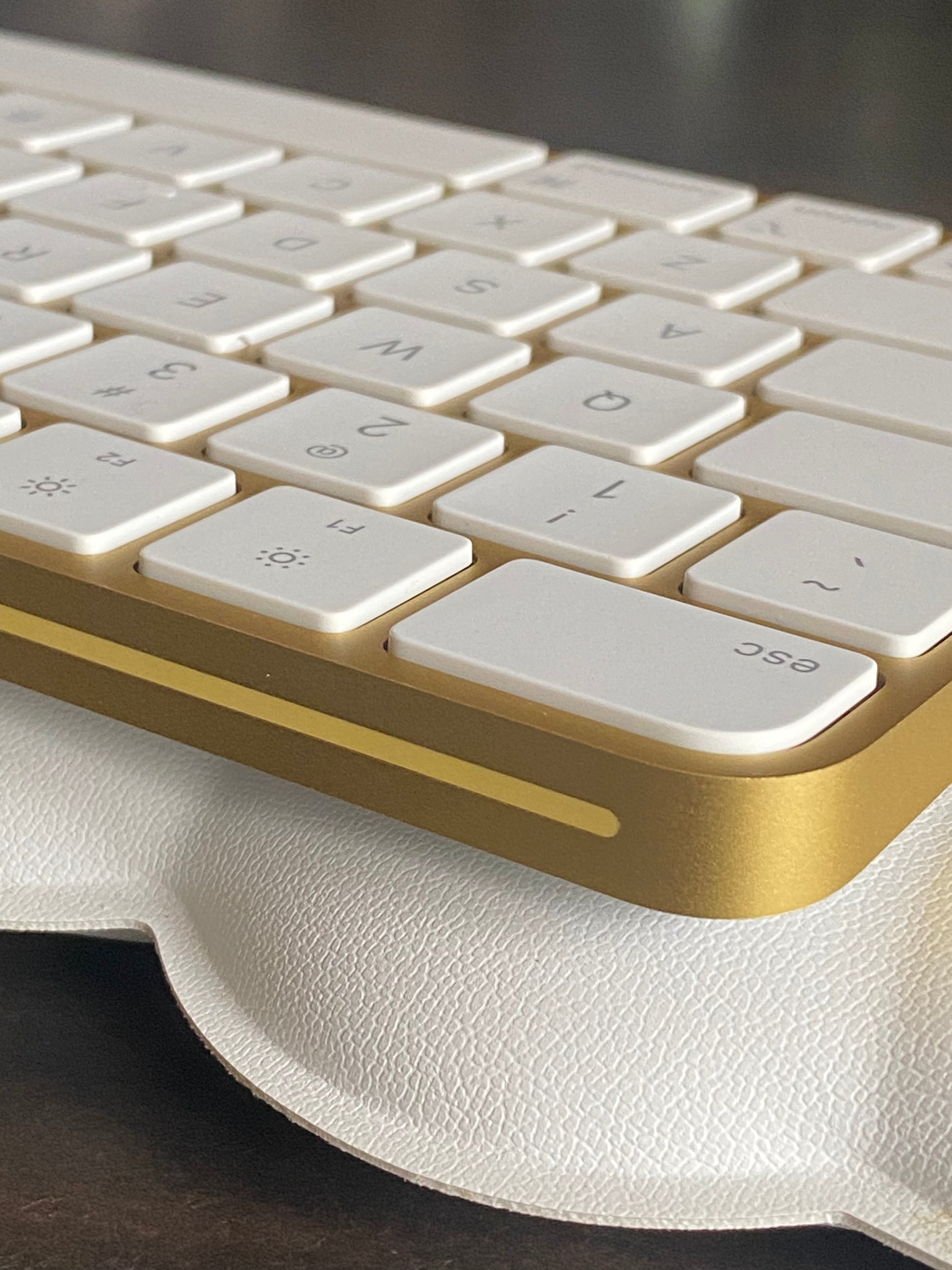 A2449_GOLD_06